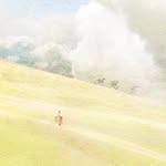 Vera_Liu - @vera_liu777 - Instagram