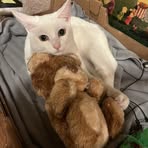 Vera Liu - Facebook