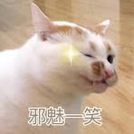 Vera Liu - Facebook