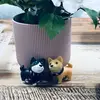 Vera Liu - @veraliu6 - TikTok