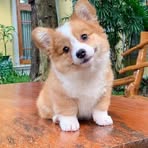 Vera Liu - Facebook