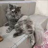 vera liu - @vera16594 - TikTok