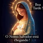 Vera Regina Muller Ludwig - @verareginamullerludwig - Instagram