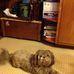 Vera Mackey - Facebook