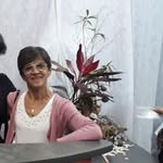 Vera Alice Maestrello - @vera_maestrello - Instagram