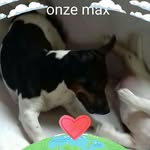 Vera Maes - @vera.maes.353 - Instagram