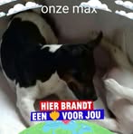 Vera Maes - Facebook