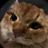вера - @vera___marchuk - TikTok