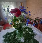 Vera Marchuk - Facebook