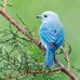 Vera Matthews - Facebook