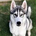 Vera Maxwell - @veramxwll - Instagram