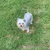 Vera Shouse McGee - @v.mcgee28 - TikTok