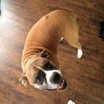 Vera Mcgrath - @vera.mcgrath.75 - Instagram