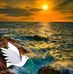 José Vera Mesa - Facebook