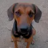 Maria esther Vera mesa - @valentina25084 - TikTok