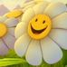 Vera Morse - Facebook