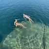 vera mueller - @vera.mueller4 - TikTok