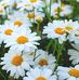 Vera Nagy - Facebook