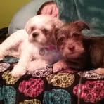Vera Parrish Smith - Facebook