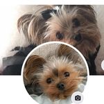 Vera Emily Parsons - @veraparsons59 - Instagram