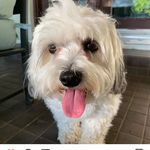 Vera Pool - @verapool6 - Instagram