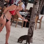 Nichole Vera Ransom - @veranichole - Instagram
