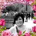 Vera Rapp - Facebook