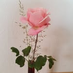 Vera Reichert - @vera.reichert.129 - Instagram