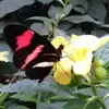 verareichert0905 - @verareichert0905 - TikTok