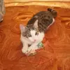 verareichlova - @verareichlova - TikTok