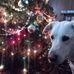 Vera Renner - Facebook