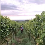 Vera Rooth - @verarooth - Instagram