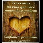 Vera Schiller - @veraschiller6168 - Instagram