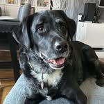 Vera Schiller - @veraschiller1 - Instagram
