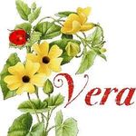 Vera Schneider - @vera.schneider.1029 - Instagram