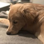 Vera Schneider - @veraschneider37 - Instagram