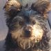 Vera Schultz - Facebook