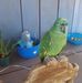 Vera Schultz - Facebook