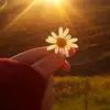 Hope25 - @vera2025terry - TikTok