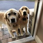 Vera Tierney - Facebook