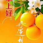 Vera Tong - Facebook