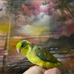 Vera Tong - Facebook