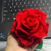 Chill với đam mê - @vera.tran0 - TikTok