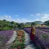 Vera Trần - @veratran10 - TikTok