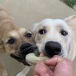 Vera & Vance - @vera.vance.duo - Instagram