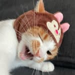 Vera Vang - @vera_z_vang - Instagram