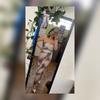 Maricruz Vera Villeg - @maricruzveravillegas - TikTok