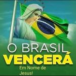 Vera Lucia Vogel - @veralucia.vogel - Instagram