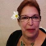 Vera Lúcia Vogel - @vogelveralucia - Instagram