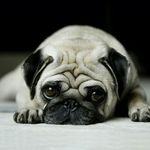 Vera Vogt - @vera.vogt.62 - Instagram